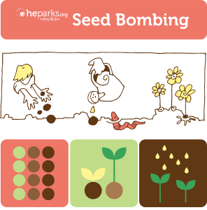 seed bombing graphic