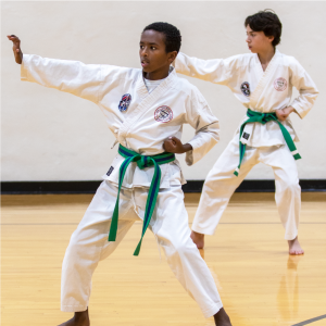 tae kwon do