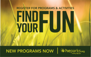 Late Fall Find Your Fun Graphic