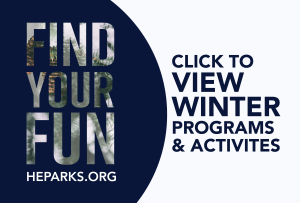 view winter programs and activities