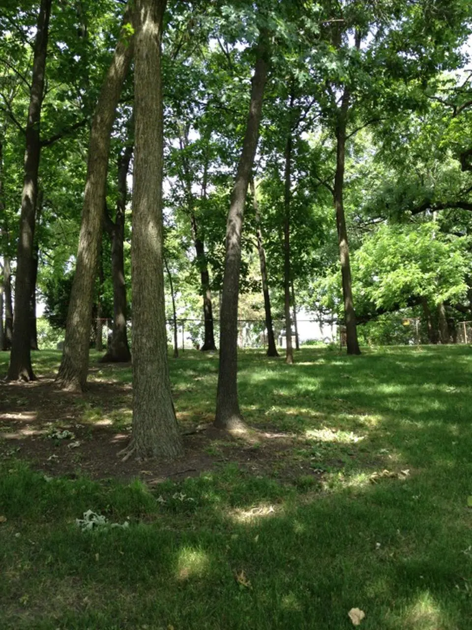 Golf Road Nature Preserve