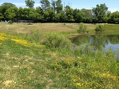 Winding Trails Basin