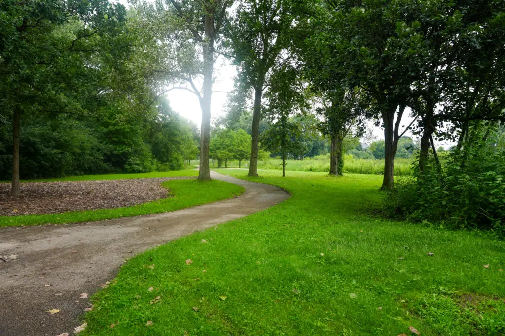 Black Bear Park