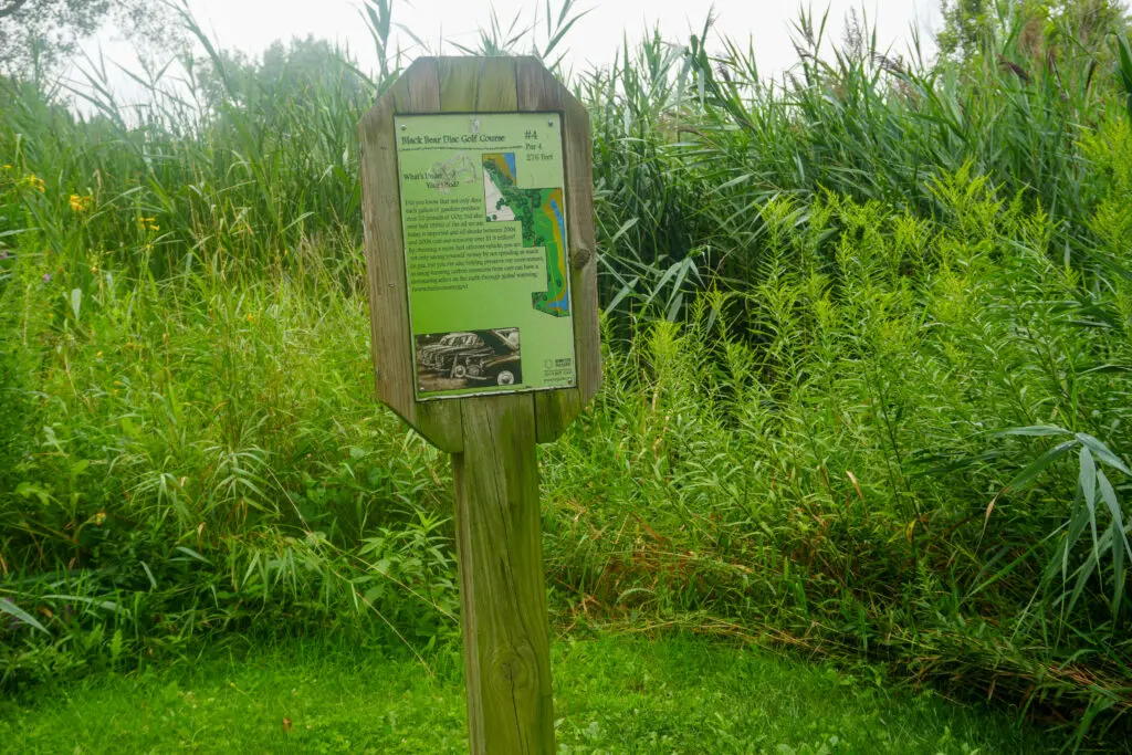 Black Bear Park
