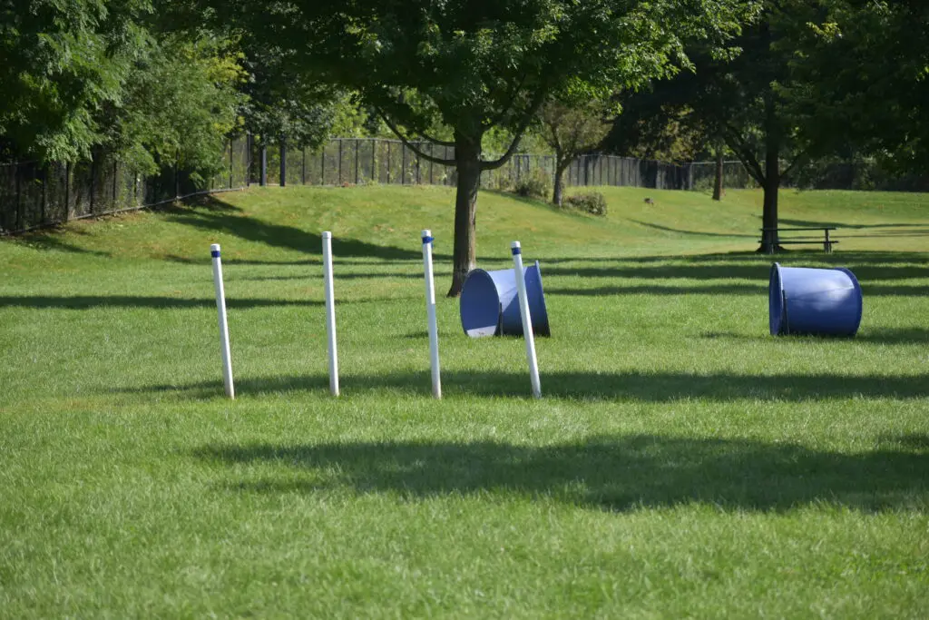 Freedom Run Dog Park