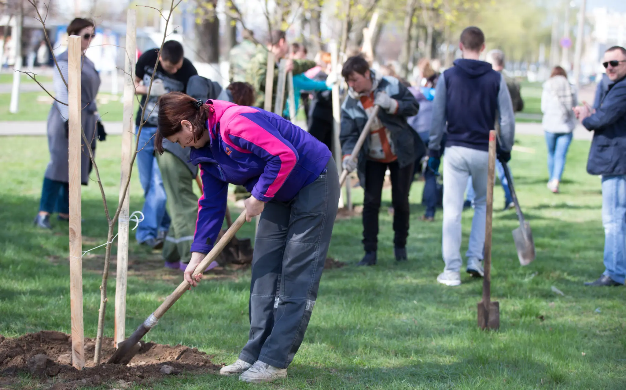 a group of people digging in the ground