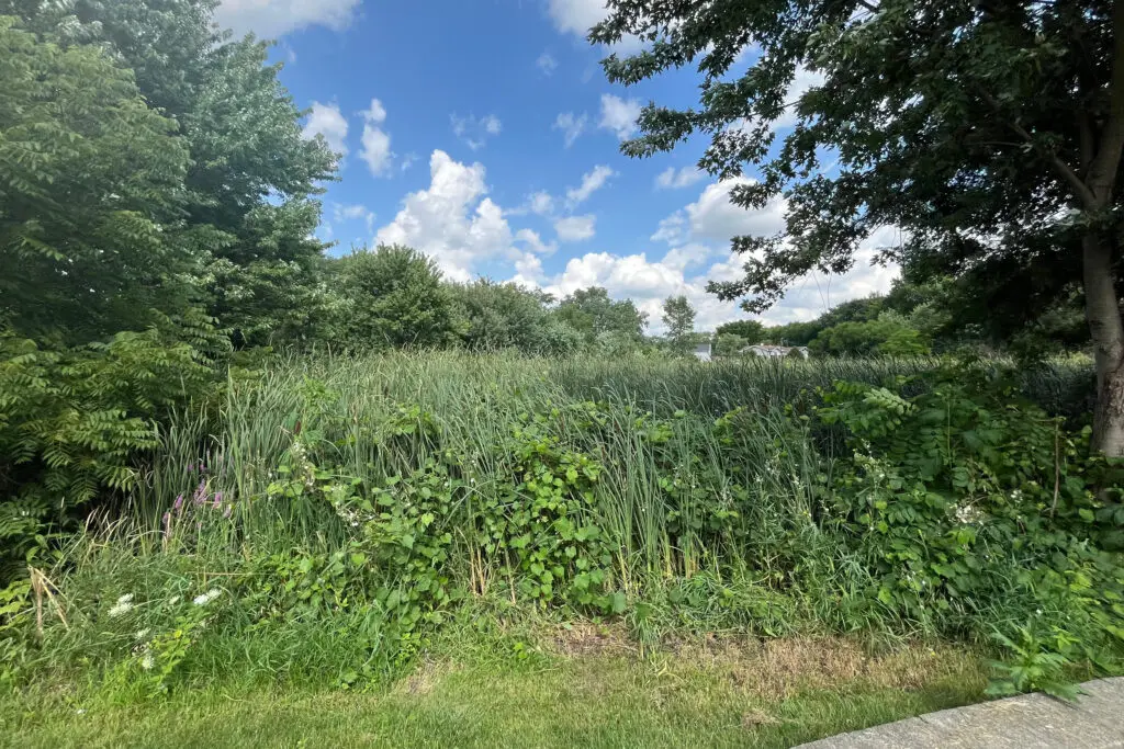 Locust Park