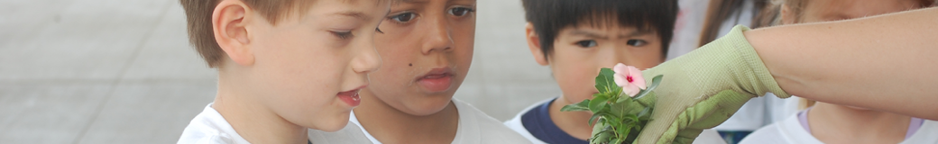 Child Care Banner