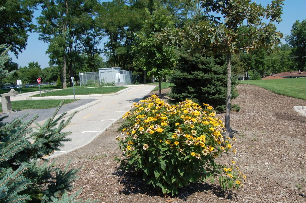 DSC_0805 Hoffman Estates Park District