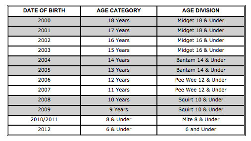 Usa Hockey Age Chart Chart Designs Template