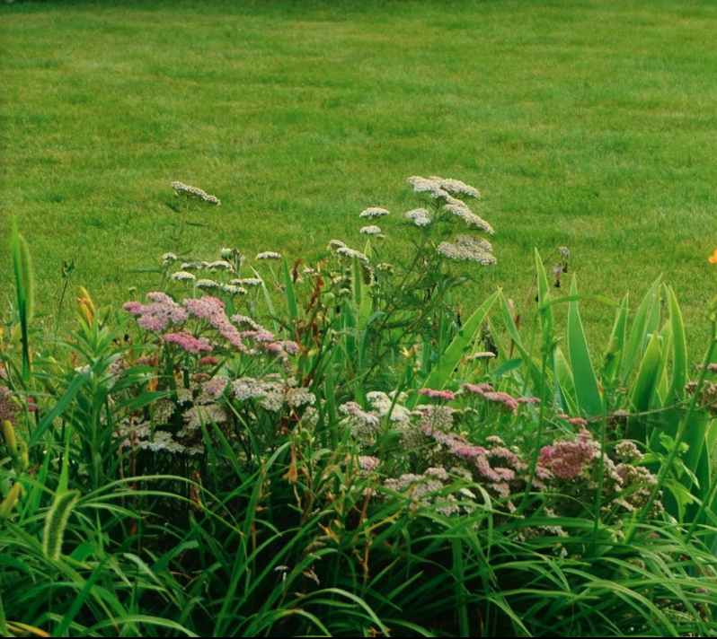 Shoe Factory Basin Hoffman Estates Park District