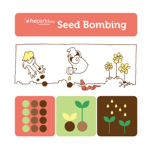 seed bombing graphic
