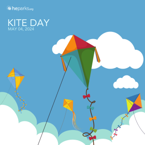 cartoon kite in the sky